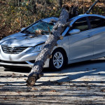 Wat bepaalt eigenlijk de beste autoverzekering?